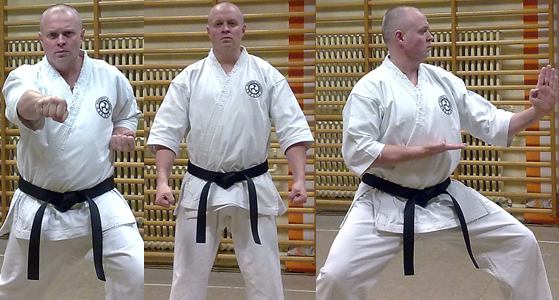Sensei Henrik Bie